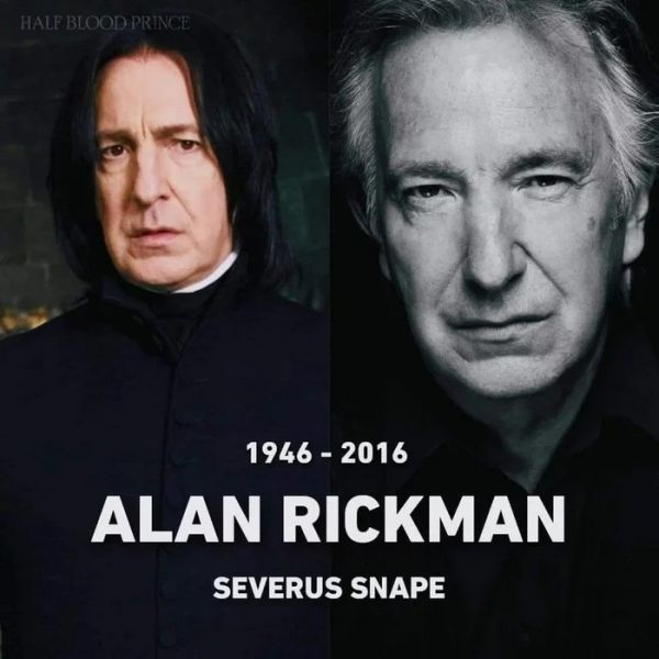 profesor Severus - Alan Rickman