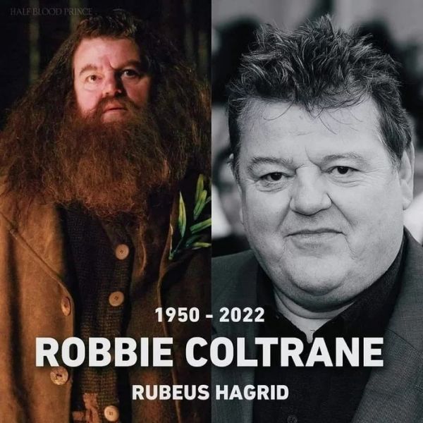 Rubeus Hagrid - Robbie Coltrane
