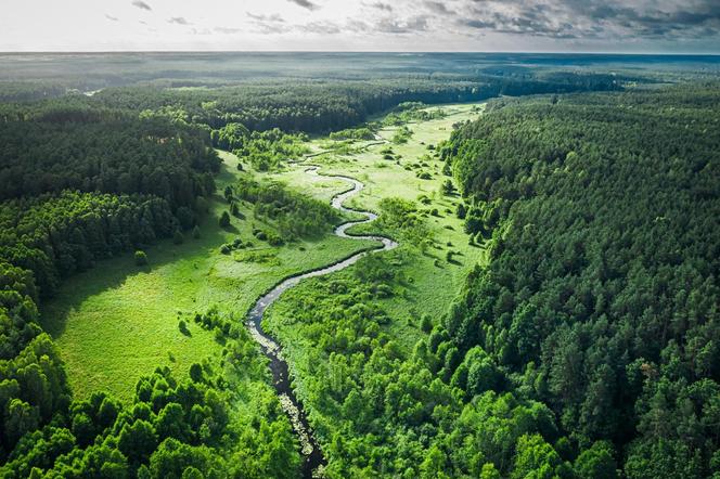 Park Narodowy Bory Tucholskie 