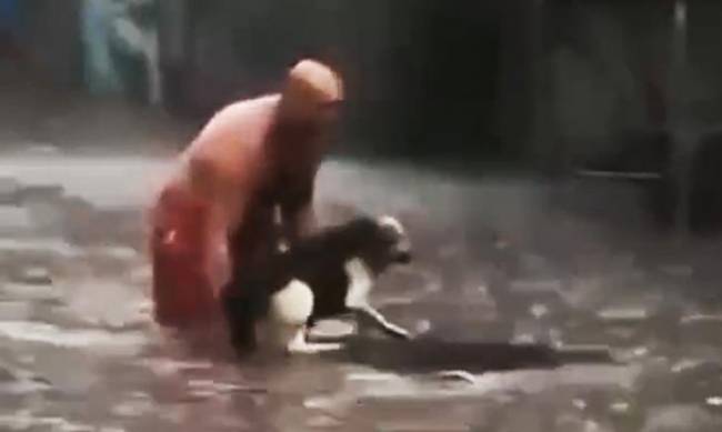 Герои среди нас: в Киеве во время потопа нашлись небезразличные, помогающие животным  фото