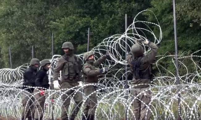 Польша строит забор из колючей проволоки на границе с Беларусью фото