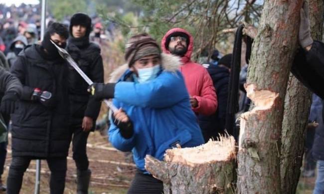  Нелегальные мигранты разбили лагерь на границе с Польшей фото