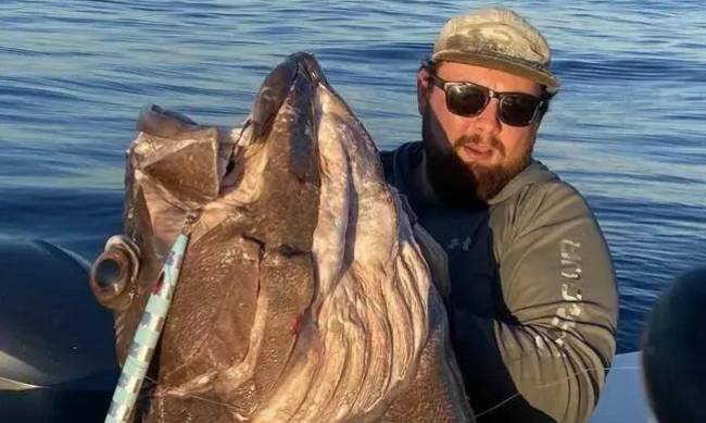 Rybak złapał 80-kilogramowego potwora i umieścił trofeum w sieci - nie wszystkim podobał się połów фото