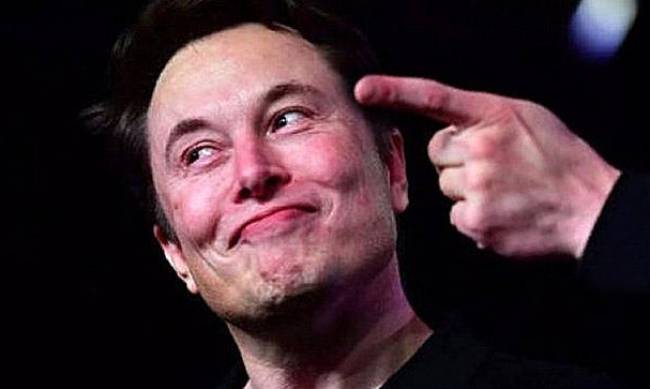 Za pół roku Elon Musk wszczepi pierwszy neurochip w mózg człowieka фото