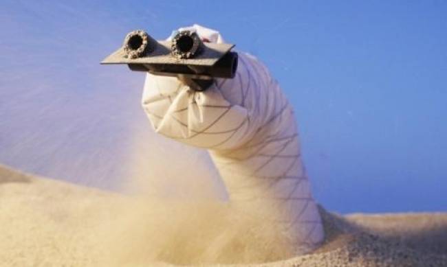 Naukowcy opracowali robotycznego robaka, który porusza się pod piaskiem фото