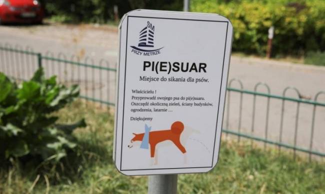 Pisuary dla psów zainstalowane w Warszawie фото