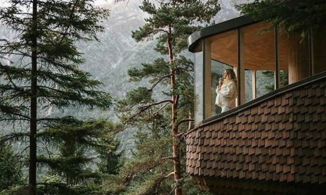 W Norwegii zaczęto budować domy na drzewach фото